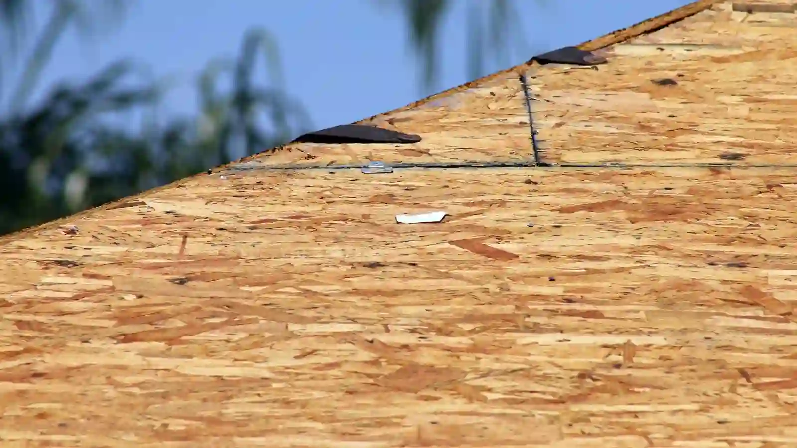 Professional roof inspection near me in Albany NY